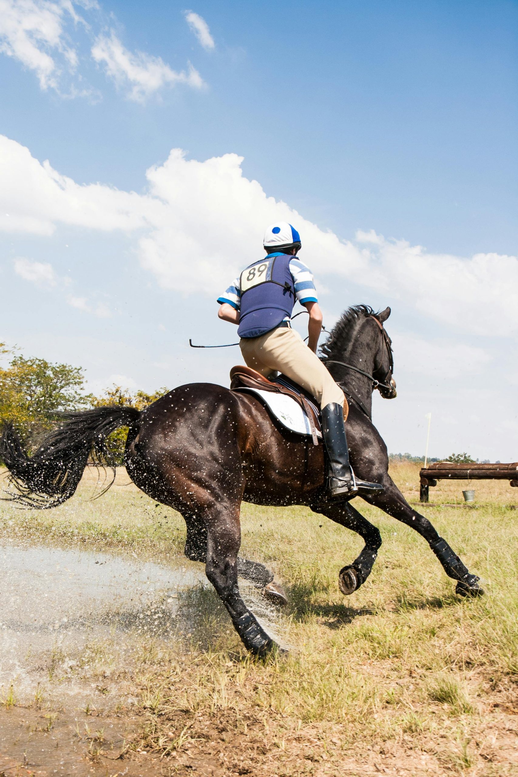 Equestrian